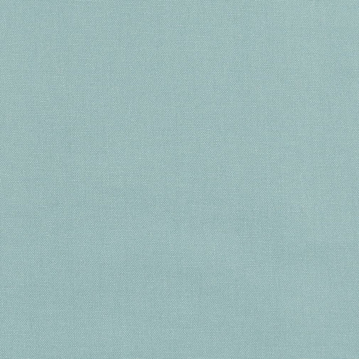 D3413 Sea by Charlotte Designer Fabric Washed Cotton 16oz, 100% Cotton Made In USA Exceeds 20,0000 Wyzenbeek Rubs (Heavy Duty) </p><p>Repeat: No Repeat 54 Inches - Swanky Fabrics -