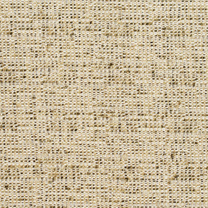 Charlotte Fabric D341 Spring