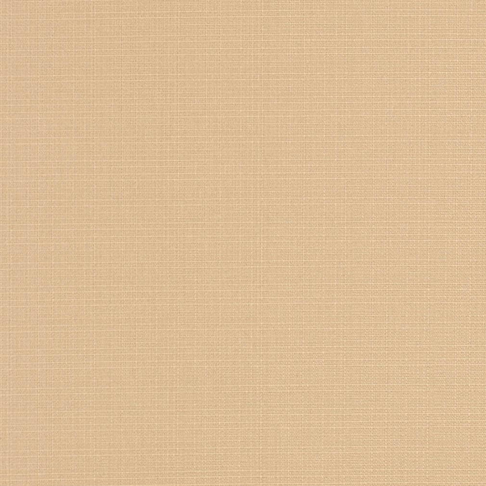 D3424 by Charlotte Designer Fabric Cabana 100% Solution Dyed Acrylic Asia Exceeds 120,000 Wyzenbeek Rubs (Heavy Duty) No Repeat 54 Inches - Swanky Fabrics -