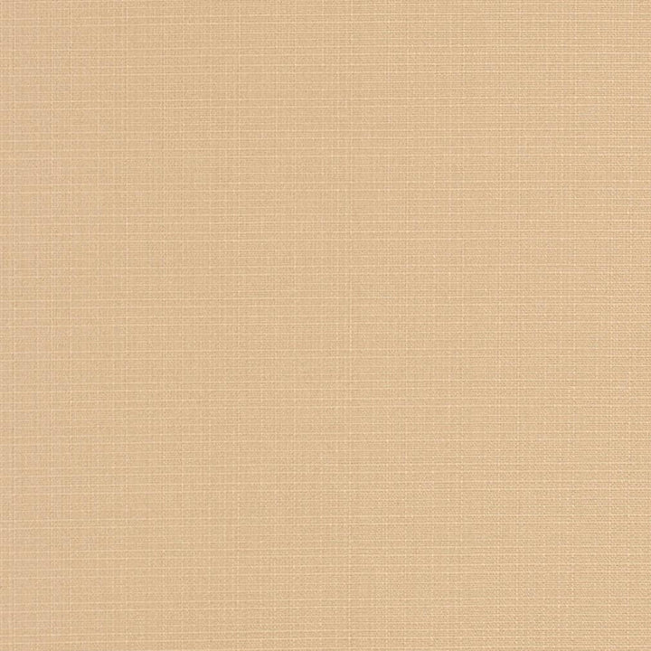 D3424 by Charlotte Designer Fabric Cabana 100% Solution Dyed Acrylic Asia Exceeds 120,000 Wyzenbeek Rubs (Heavy Duty) No Repeat 54 Inches - Swanky Fabrics -