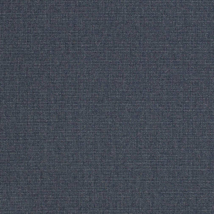 D3425 by Charlotte Designer Fabric Cabana 100% Solution Dyed Acrylic Asia Exceeds 120,000 Wyzenbeek Rubs (Heavy Duty) No Repeat 54 Inches - Swanky Fabrics -