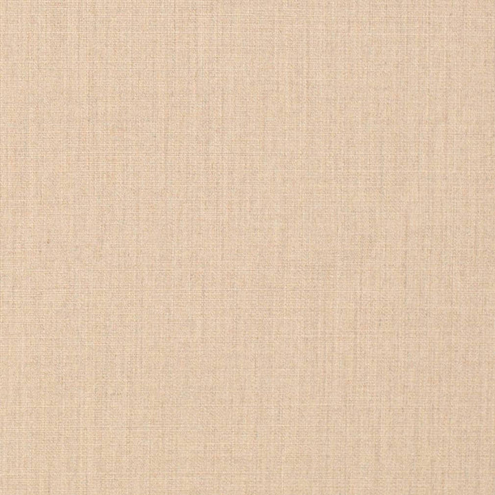D3428 by Charlotte Designer Fabric Cabana 100% Solution Dyed Acrylic Asia Exceeds 120,000 Wyzenbeek Rubs (Heavy Duty) No Repeat 54 Inches - Swanky Fabrics -