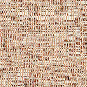 Charlotte Fabric D342 Autumn