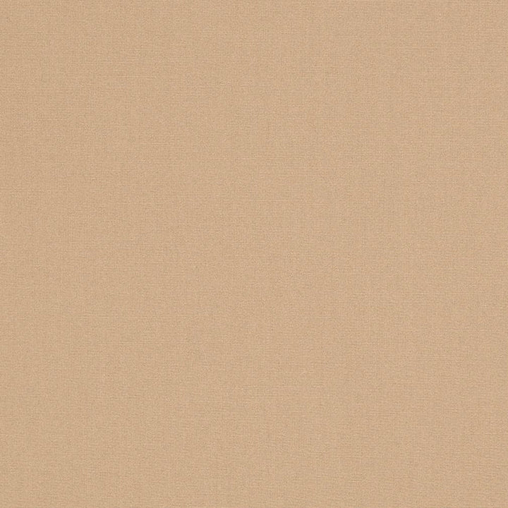 D3436 by Charlotte Designer Fabric Cabana 100% Solution Dyed Acrylic Asia Exceeds 120,000 Wyzenbeek Rubs (Heavy Duty) No Repeat 54 Inches - Swanky Fabrics -
