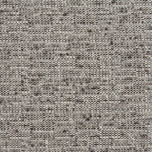 Charlotte Fabric D343 Raven