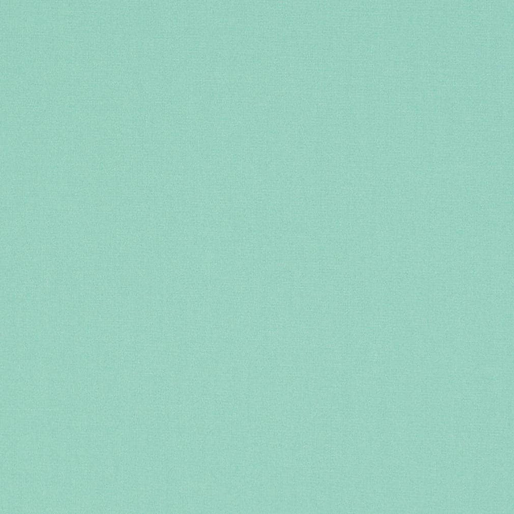 D3447 by Charlotte Designer Fabric Cabana 100% Solution Dyed Acrylic Asia Exceeds 120,000 Wyzenbeek Rubs (Heavy Duty) No Repeat 54 Inches - Swanky Fabrics -