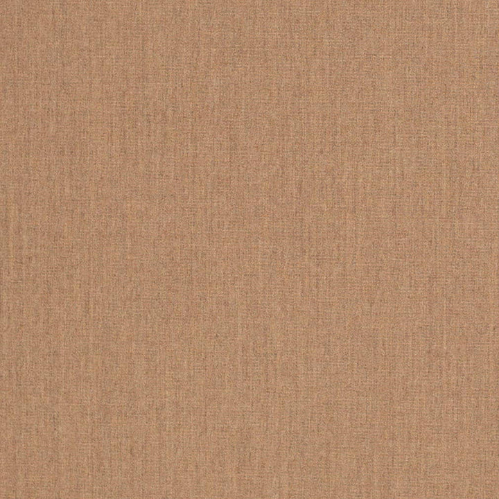 D3449 by Charlotte Designer Fabric Cabana 100% Solution Dyed Acrylic Asia Exceeds 120,000 Wyzenbeek Rubs (Heavy Duty) No Repeat 54 Inches - Swanky Fabrics -