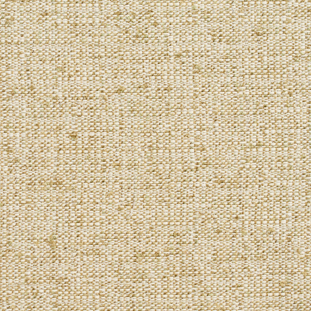 D344 Meadow by Charlotte Designer Fabric Crypton Volume 2 54% Olefin, 46% Polyester Made In USA Exceeds 60,000 Wyzenbeek Rubs (Heavy Duty) No Repeat 54 Inches - Swanky Fabrics -