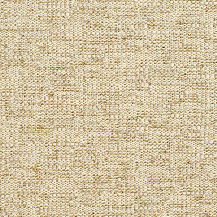 D344 Meadow by Charlotte Designer Fabric Crypton Volume 2 54% Olefin, 46% Polyester Made In USA Exceeds 60,000 Wyzenbeek Rubs (Heavy Duty) No Repeat 54 Inches - Swanky Fabrics -