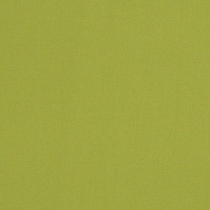 D3451 by Charlotte Designer Fabric Cabana 100% Solution Dyed Acrylic Asia Exceeds 120,000 Wyzenbeek Rubs (Heavy Duty) No Repeat 54 Inches - Swanky Fabrics -