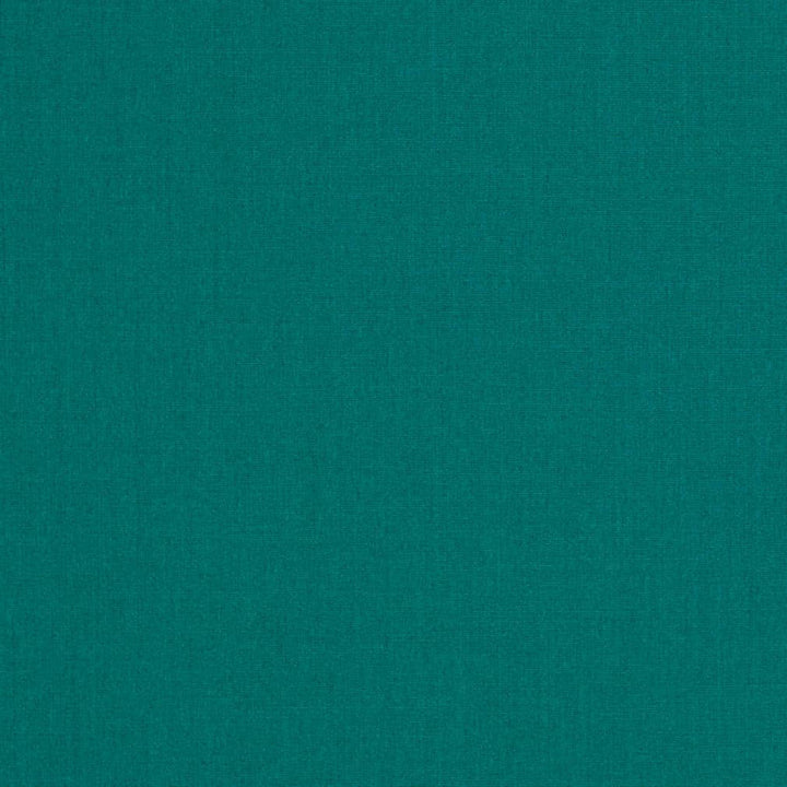 D3457 by Charlotte Designer Fabric Cabana 100% Solution Dyed Acrylic Asia Exceeds 120,000 Wyzenbeek Rubs (Heavy Duty) No Repeat 54 Inches - Swanky Fabrics -