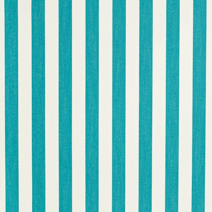 D3462 by Charlotte Designer Fabric Cabana 100% Solution Dyed Acrylic Asia Exceeds 120,000 Wyzenbeek Rubs (Heavy Duty) Horizontal 2" 54 Inches - Swanky Fabrics -