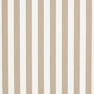 Charlotte Fabric D3463