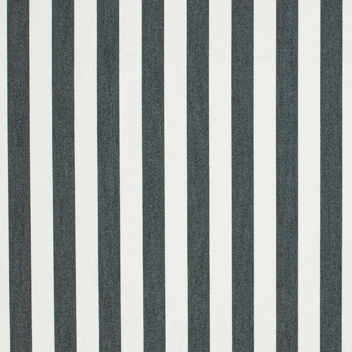 D3464 by Charlotte Designer Fabric Cabana 100% Solution Dyed Acrylic Asia Exceeds 120,000 Wyzenbeek Rubs (Heavy Duty) Horizontal 2" 54 Inches - Swanky Fabrics -