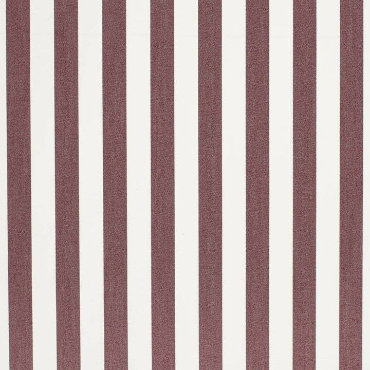 D3465 by Charlotte Designer Fabric Cabana 100% Solution Dyed Acrylic Asia Exceeds 120,000 Wyzenbeek Rubs (Heavy Duty) Horizontal 2" 54 Inches - Swanky Fabrics -