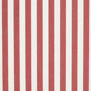 Charlotte Fabric D3466