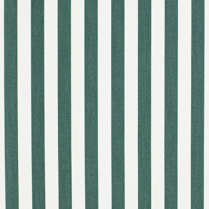 D3467 by Charlotte Designer Fabric Cabana 100% Solution Dyed Acrylic Asia Exceeds 120,000 Wyzenbeek Rubs (Heavy Duty) Horizontal 2" 54 Inches - Swanky Fabrics -