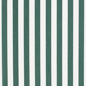 Charlotte Fabric D3467