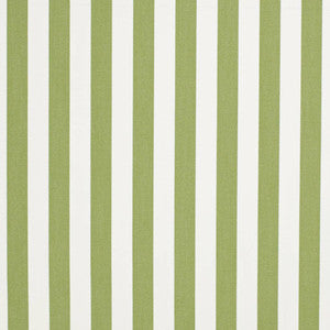 Charlotte Fabric D3470