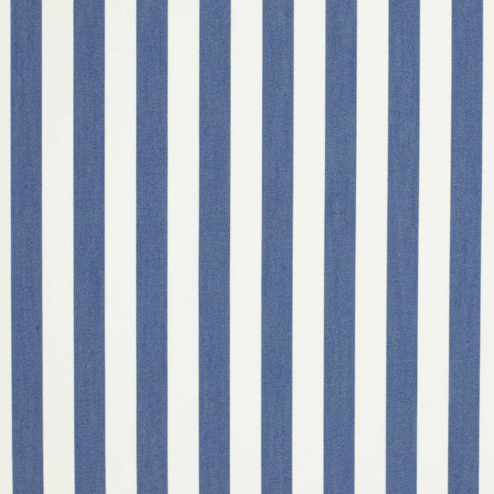 D3471 by Charlotte Designer Fabric Cabana 100% Solution Dyed Acrylic Asia Exceeds 120,000 Wyzenbeek Rubs (Heavy Duty) Horizontal 2" 54 Inches - Swanky Fabrics -