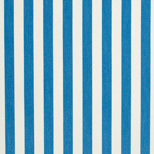 Charlotte Fabric D3474