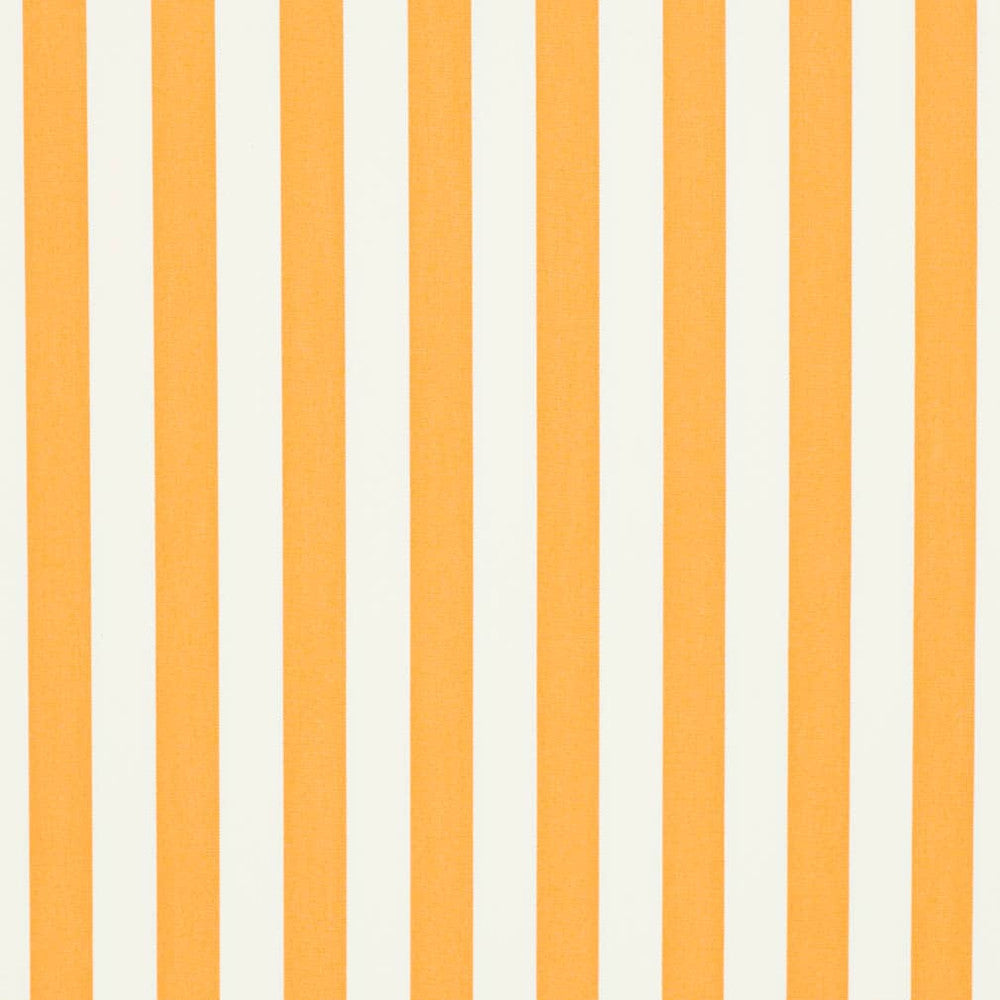 D3476 by Charlotte Designer Fabric Cabana 100% Solution Dyed Acrylic Asia Exceeds 120,000 Wyzenbeek Rubs (Heavy Duty) Horizontal 2" 54 Inches - Swanky Fabrics -