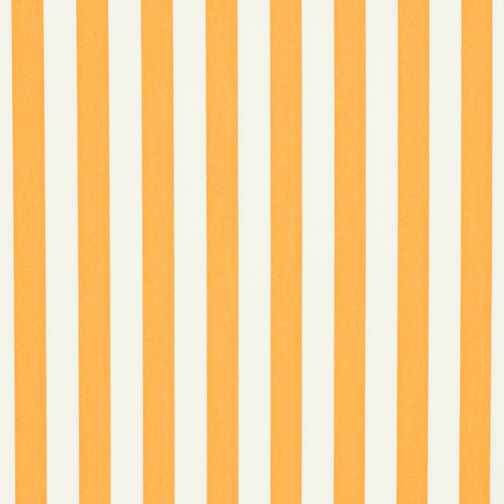 D3476 by Charlotte Designer Fabric Cabana 100% Solution Dyed Acrylic Asia Exceeds 120,000 Wyzenbeek Rubs (Heavy Duty) Horizontal 2" 54 Inches - Swanky Fabrics -