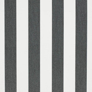 Charlotte Fabric D3479