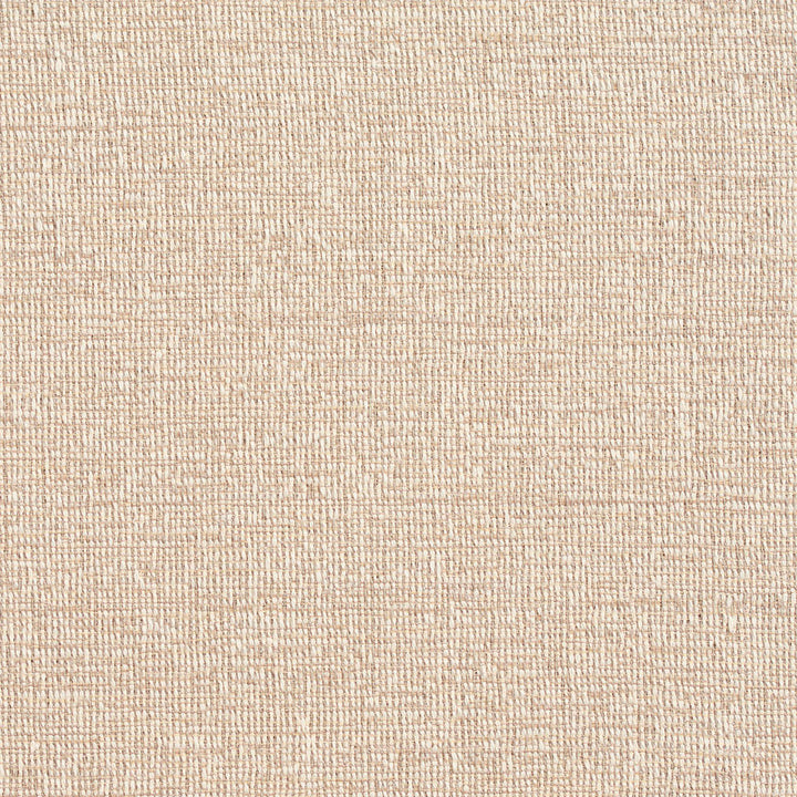 D351 Dove by Charlotte Designer Fabric Crypton Volume 2 60% Cotton, 40% Polyester Made In USA Exceeds 66,000 Wyzenbeek Rubs (Heavy Duty) No Repeat 54 Inches - Swanky Fabrics -