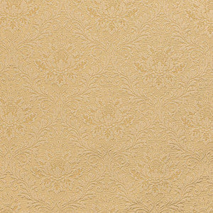 Charlotte Fabric D3564