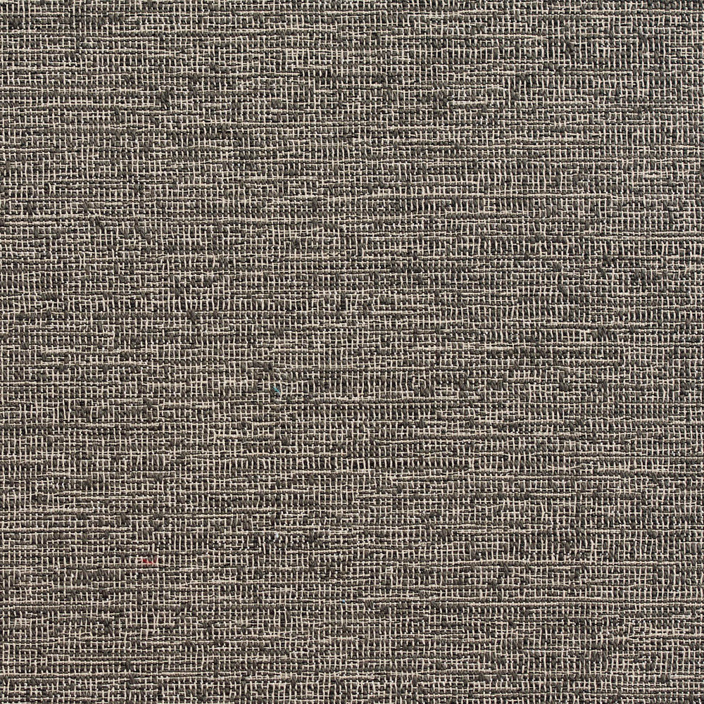 D356 Charcoal by Charlotte Designer Fabric Crypton Volume 2 60% Cotton, 40% Polyester Made In USA Exceeds 66,000 Wyzenbeek Rubs (Heavy Duty) No Repeat 54 Inches - Swanky Fabrics -