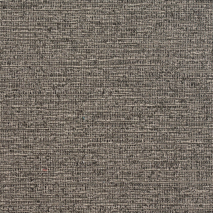 D356 Charcoal by Charlotte Designer Fabric Crypton Volume 2 60% Cotton, 40% Polyester Made In USA Exceeds 66,000 Wyzenbeek Rubs (Heavy Duty) </p><p>Repeat: 54 Inches - Swanky Fabrics -