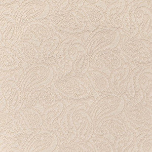 Charlotte Fabric D3583