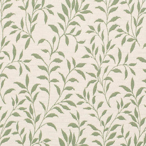 Charlotte Fabric D3586