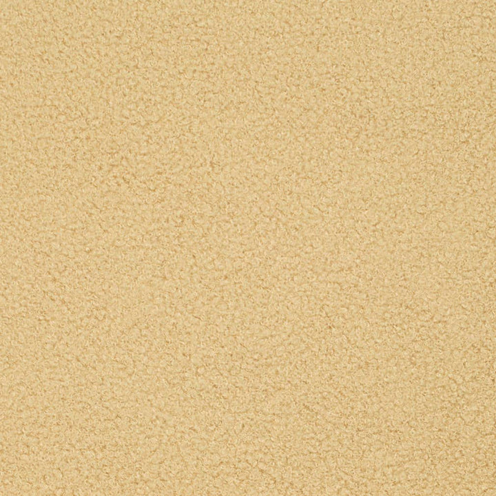 D3612 by Charlotte Designer Fabric Mid Century Modern 100% Polyester Asia Exceeds 80,000 Wyzenbeek Rubs (Heavy Duty) No Repeat 54 Inches - Swanky Fabrics -