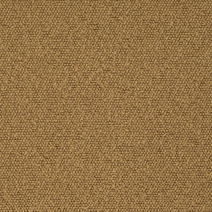 D3627 by Charlotte Designer Fabric Mid Century Modern 100% Polyester Asia Exceeds 60,000 Wyzenbeek Rubs (Heavy Duty) No Repeat 54 Inches - Swanky Fabrics -