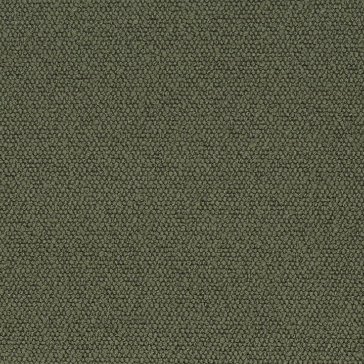D3628 by Charlotte Designer Fabric Mid Century Modern 100% Polyester Asia Exceeds 60,000 Wyzenbeek Rubs (Heavy Duty) No Repeat 54 Inches - Swanky Fabrics -