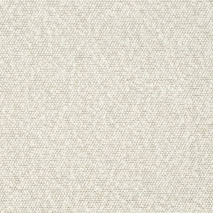 D3633 by Charlotte Designer Fabric Mid Century Modern 100% Polyester Asia Exceeds 60,000 Wyzenbeek Rubs (Heavy Duty) No Repeat 54 Inches - Swanky Fabrics -