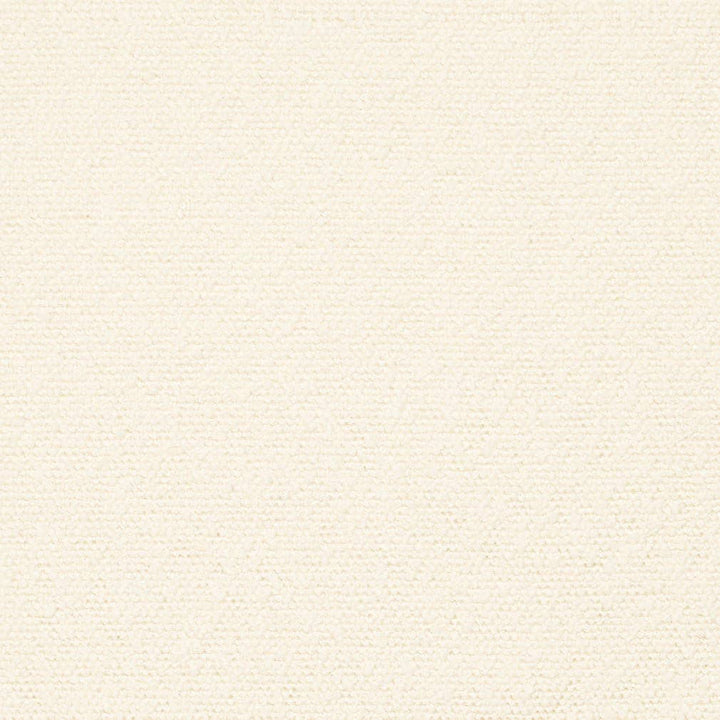 D3637 by Charlotte Designer Fabric Mid Century Modern 100% Polyester Asia Exceeds 60,000 Wyzenbeek Rubs (Heavy Duty) No Repeat 54 Inches - Swanky Fabrics -