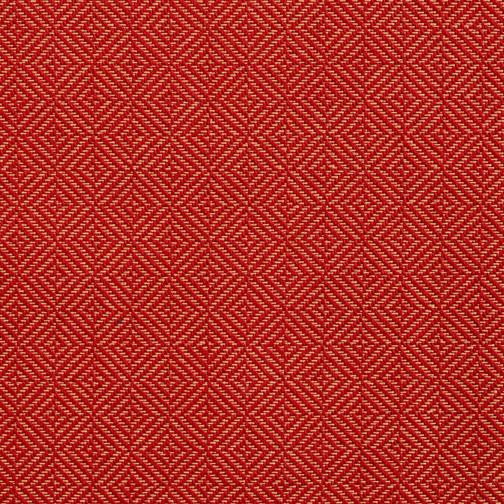 D363 Spice by Charlotte Designer Fabric Crypton Volume 2 73% Cotton, 27% Polyester Made In USA Exceeds 126,000 Wyzenbeek Rubs (Heavy Duty) Horizontal: 1" x Vertical: 1" 54 Inches - Swanky Fabrics -
