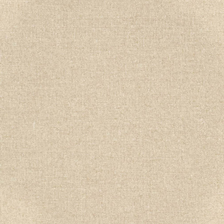 D3647 by Charlotte Designer Fabric Mid Century Modern 100% Recycled Olefin Turkey Exceeds 80,000 Wyzenbeek Rubs (Heavy Duty) No Repeat 54 Inches - Swanky Fabrics -