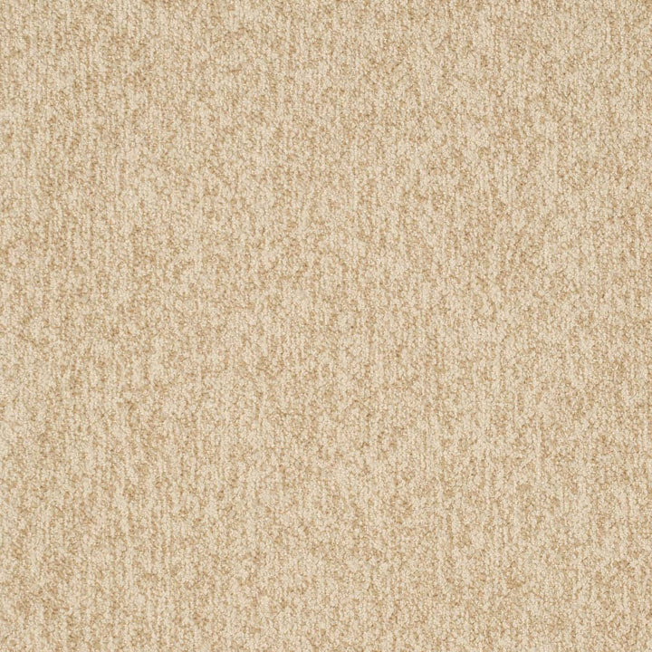 D3653 by Charlotte Designer Fabric Mid Century Modern 100% Polyester USA Exceeds 180,000 Wyzenbeek Rubs (Heavy Duty) No Repeat 54 Inches - Swanky Fabrics -
