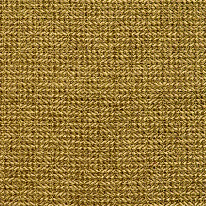 D365 Moss by Charlotte Designer Fabric Crypton Volume 2 73% Cotton, 27% Polyester Made In USA Exceeds 126,000 Wyzenbeek Rubs (Heavy Duty) Horizontal: 1" x Vertical: 1" 54 Inches - Swanky Fabrics -
