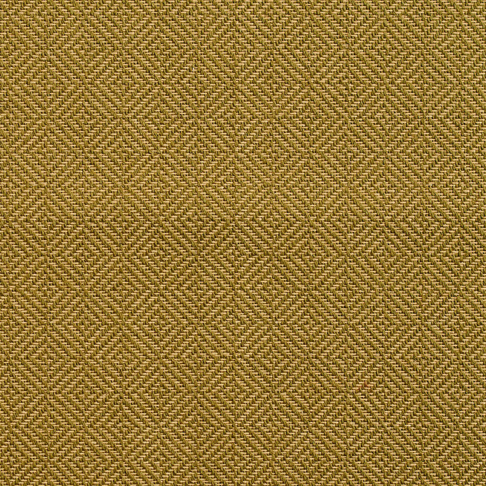 D365 Moss by Charlotte Designer Fabric Crypton Volume 2 73% Cotton, 27% Polyester Made In USA Exceeds 126,000 Wyzenbeek Rubs (Heavy Duty) Horizontal: 1" x Vertical: 1" 54 Inches - Swanky Fabrics -