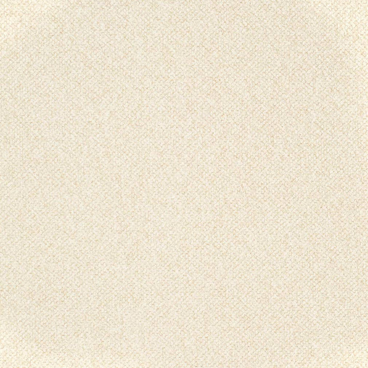 D3660 by Charlotte Designer Fabric Mid Century Modern 100% Polyester USA Exceeds 180,000 Wyzenbeek Rubs (Heavy Duty) No Repeat 54 Inches - Swanky Fabrics -