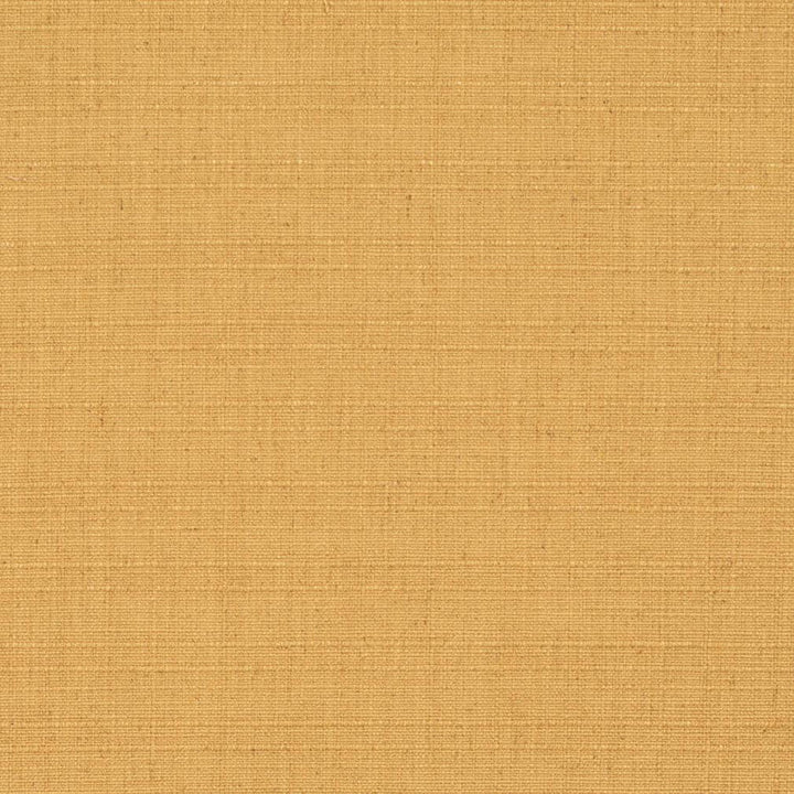 D3675 by Charlotte Designer Fabric Linen Looks 95% Polyester, 5% Linen Asia Exceeds 106,000 Wyzenbeek Rubs (Heavy Duty) No Repeat 54 Inches - Swanky Fabrics -