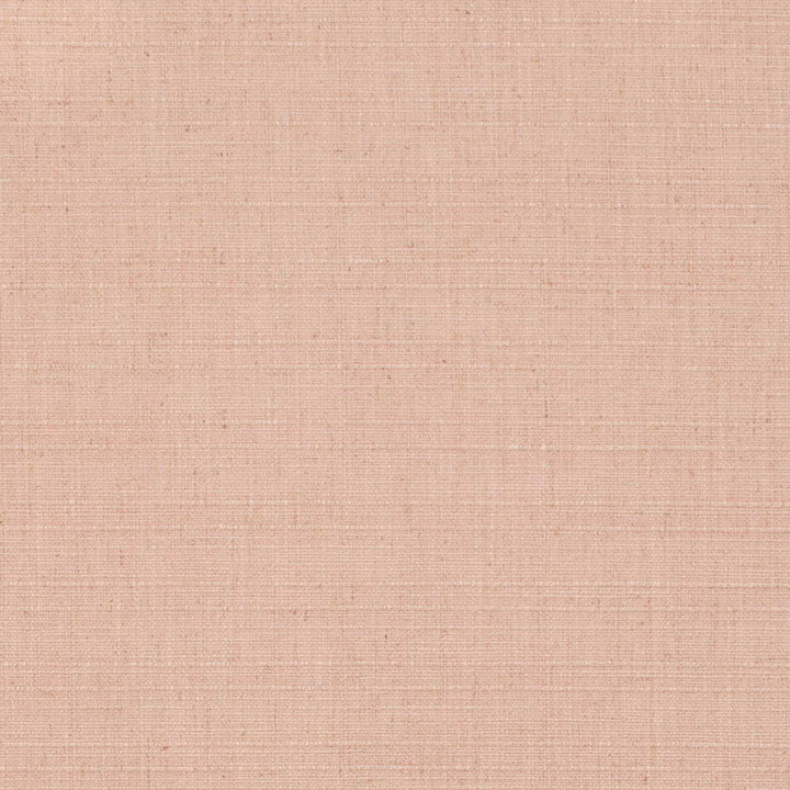 D3677 by Charlotte Designer Fabric Linen Looks 95% Polyester, 5% Linen Asia Exceeds 106,000 Wyzenbeek Rubs (Heavy Duty) No Repeat 54 Inches - Swanky Fabrics -