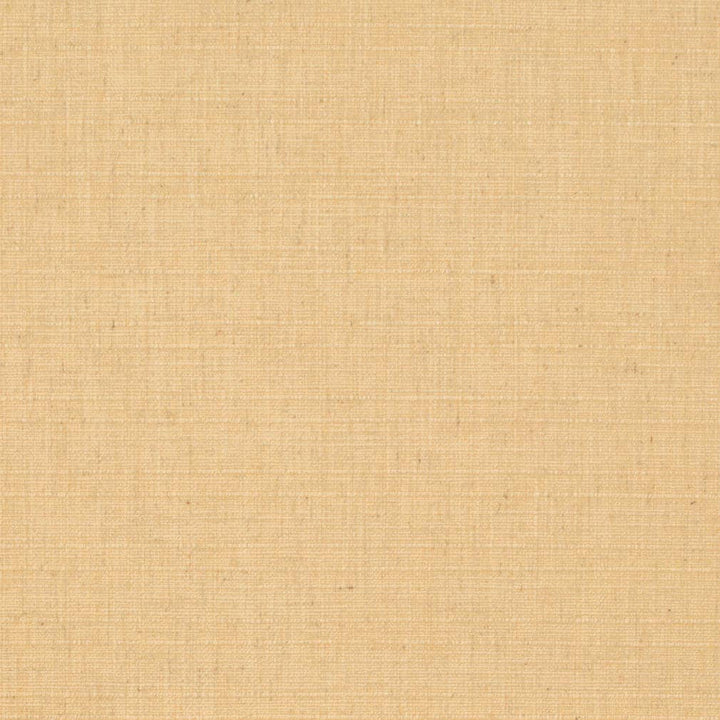 D3678 by Charlotte Designer Fabric Linen Looks 95% Polyester, 5% Linen Asia Exceeds 106,000 Wyzenbeek Rubs (Heavy Duty) No Repeat 54 Inches - Swanky Fabrics -