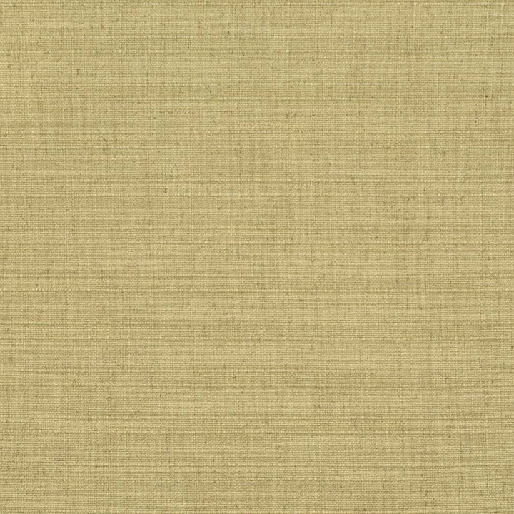 D3680 by Charlotte Designer Fabric Linen Looks 95% Polyester, 5% Linen Asia Exceeds 106,000 Wyzenbeek Rubs (Heavy Duty) No Repeat 54 Inches - Swanky Fabrics -