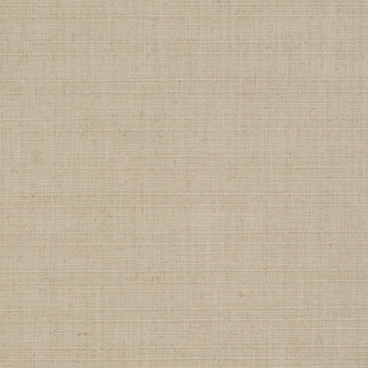 D3685 by Charlotte Designer Fabric Linen Looks 95% Polyester, 5% Linen Asia Exceeds 106,000 Wyzenbeek Rubs (Heavy Duty) No Repeat 54 Inches - Swanky Fabrics -